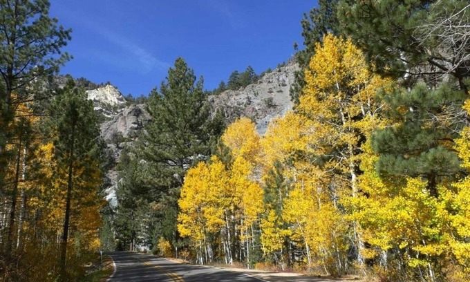 Bear Valley Condo | Loft Condo w/Bonus Area - Creekside #7 by Bear Valley Vacation Rentals