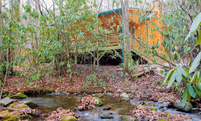 Andrews Cabin | Log cabin nestled in the mountains and situated on Collett Creek