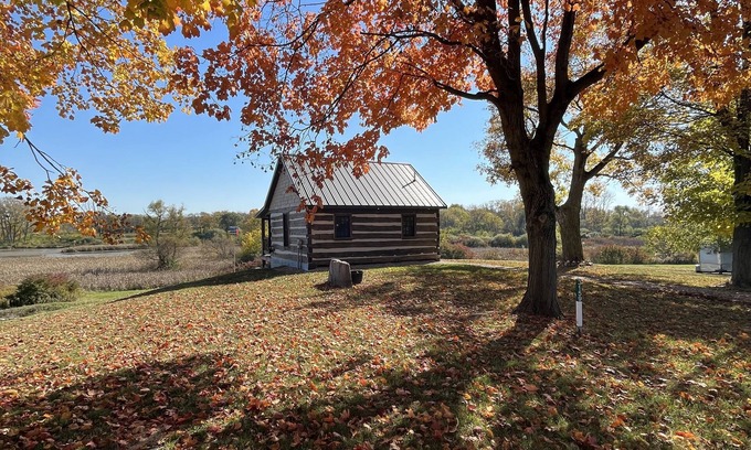 London Cabin | Log Cabin overlooking wetland reserve