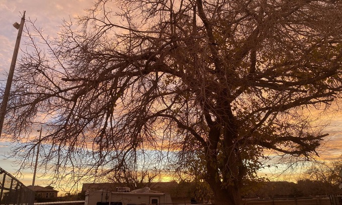 Las Vegas House | Lovely Cabin in a Park Like Setting