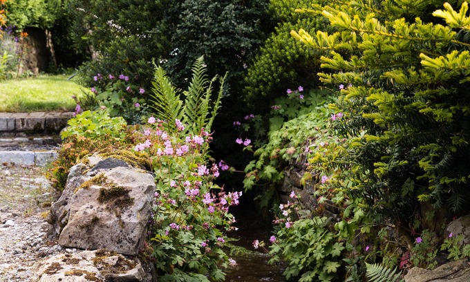 Barnard Castle Cottage | Low Thearns