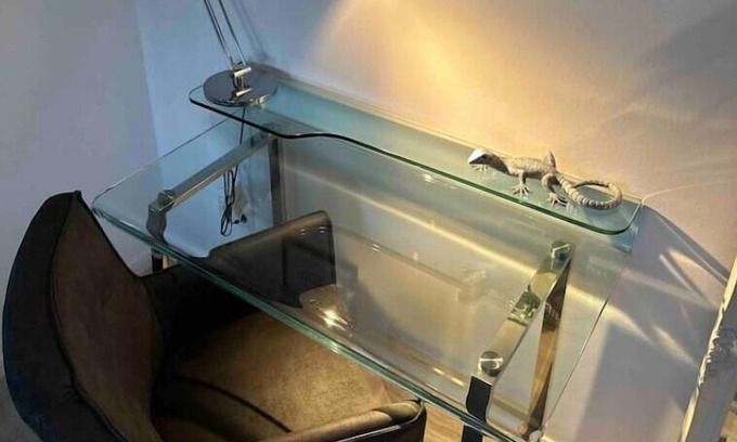 Stadionviertel Apartment | Lulex VI - Traumhafte Wohnung Nahe Messe Dus/köln