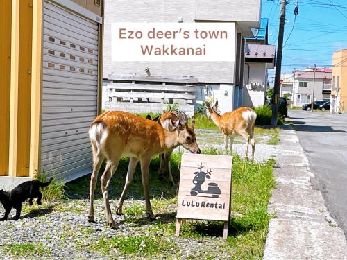 Wakkanai House | LuLu Stay