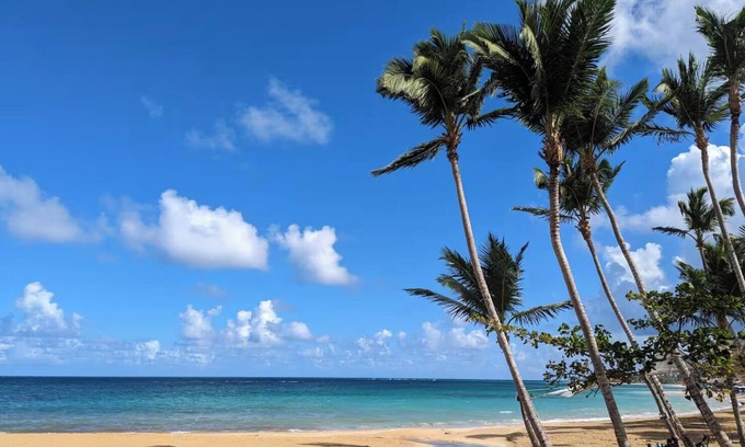 La Iglesia Apartment | Lux 2-Bedroom Apt. Las Terrenas, 1 Min to Punta Popy Beach, Pool, Jacuzzi, A/C