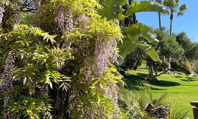 Manacor Villa | Luxury finca with views, pool, jacuzzi, dream garden, sauna, AC and Starlink