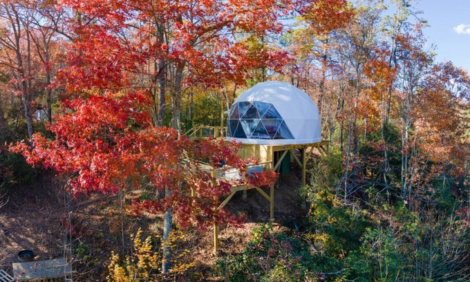 Balsam Grove House | Luxury Spa Dome: Sauna & Hot Tub