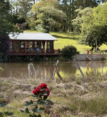 Dos de Mayo House | Luz de campo