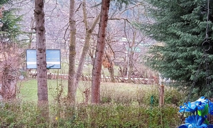 Laripora House | Magic Himalayan Cottage