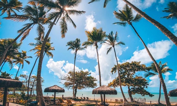 Curuipe Hotel | Maion Hotel e Boutique