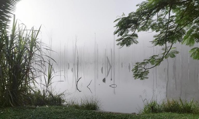 Mana House | Maison en bord de rivière