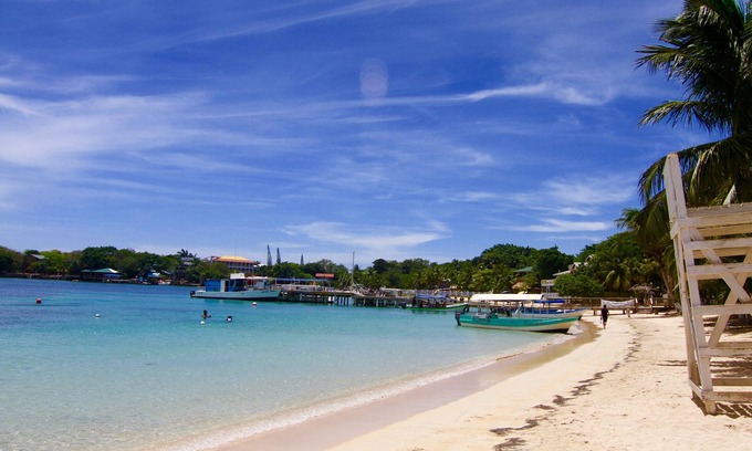 Antoneys Cay Apartment | Mame Trees