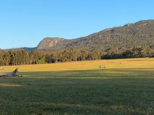 Porongurup Ski Chalet | Manyat Peak cottages Boobook
