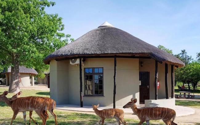 Kruger National Park Cabin | Manyeleti Big 5 Game Reserve