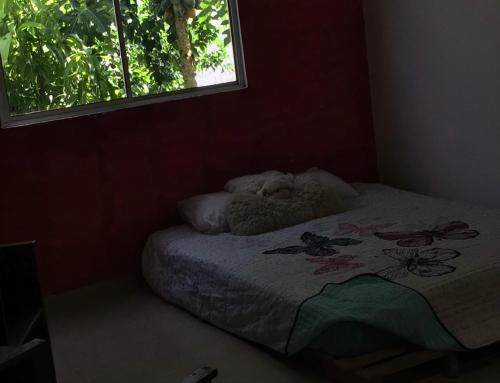 Merida Municipality Apartment | mar y luna apartment