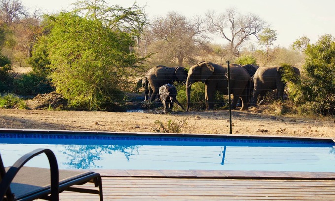 Maruleng Cabin | Masodini Private Game Lodge