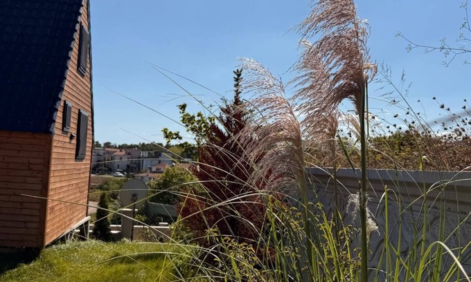Sinop House | MERKEZDE DOGAYLA İÇ İÇE DENİZE 100 METRE MESAFEDE BUNGALOV.