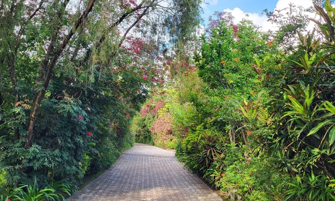 Arusha Cabin | Meru View Lodge