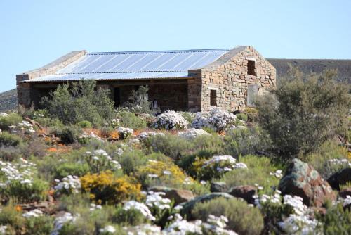 Karoo Hoogland Bed & Breakfast | Middelfontein Farm