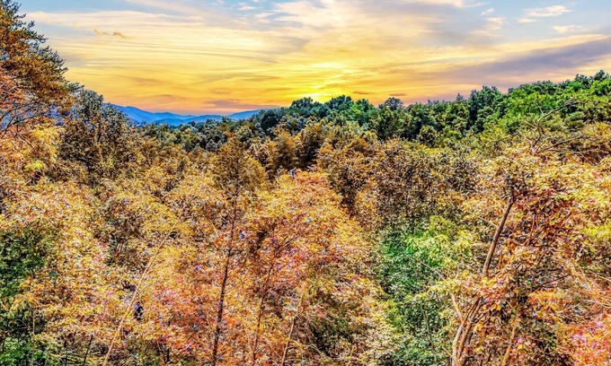 Sevierville Cabin | Mighty Birdsong: 2 New Cabins w/Hot Tubs, Indoor Pools, Mtn Views, Firepit