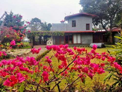 Belparao House | Minivets Nest