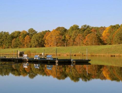 Cary House | Minutes from Fenton, WakeMed, UNC Rex, RDU, RTP & Downtown