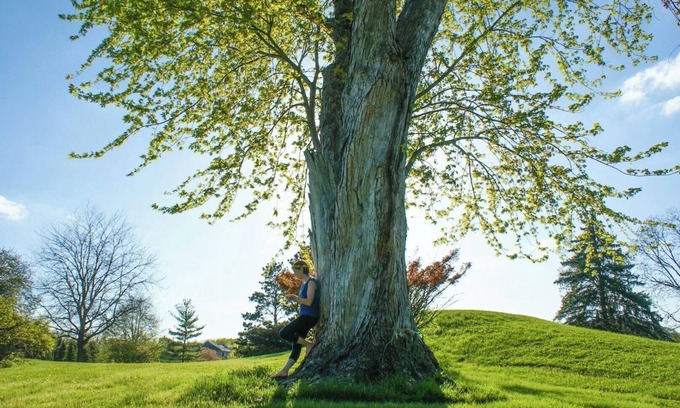 Quad Cities House | MINUTES FROM QUAD CITY INTERNATIONAL AIRPORT