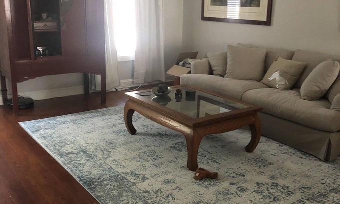 Harleston Village House | Modern and Spacious home with a fantastic, central, downtown location