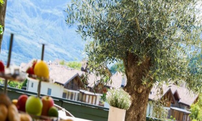 Caldaro Sulla Strada del Vino Apartment | Modern Apartment "App. Gewürztraminer" with Mountain View and shared pool