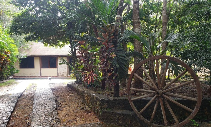 Benito Juarez Cabin | Modern Cabin in the Mayan Jungle Ecological Reserve