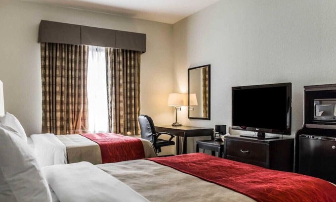 St. Petersburg - Clearwater House | Modern Room for a Family Getaway! Free Wi-Fi!