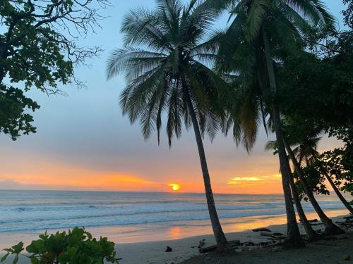 Manzanillo Apartment | Modern studio near Santa Teresa beach