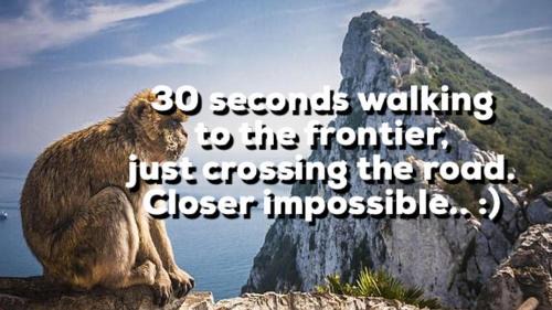 La Linea de la Concepcion House | Monkey Room