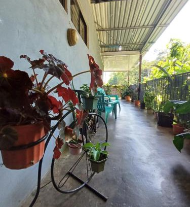 Manuel Antonio Apartment | Monos Titi Third Floor