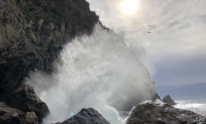 Seaside House | Monterey Bay Ocean Views: close to Aquarium w hot tub - park setting, sleeps 7