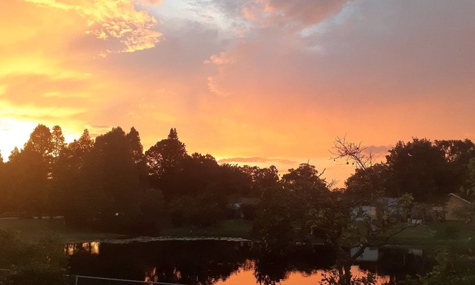 Citrus Park Apartment | Monterey Suit at Citrus Park