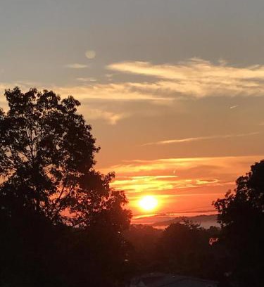 Tryon House | Moore Road Cabin 3 Pet Friendly