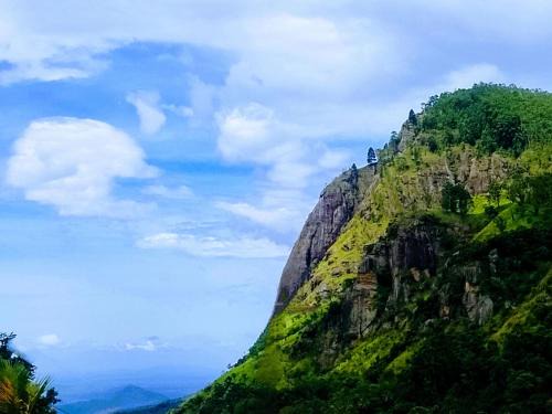 Ella House | Mount Olympus View