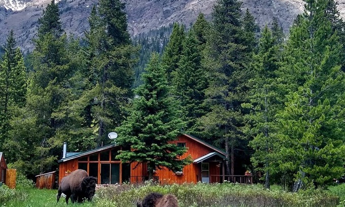 Silver Gate House | Mountain View House Right on Soda Butte Creek