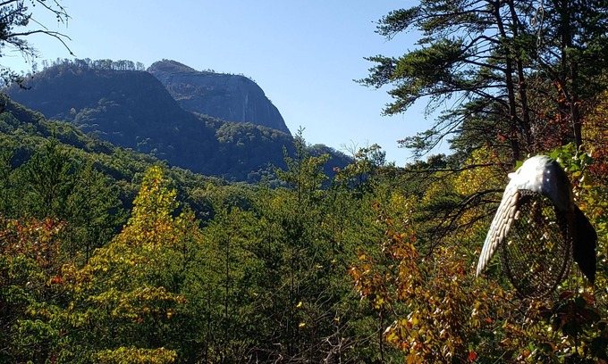 Cleveland Cabin | Mountains-Lakes-Parks-Winery-Privacy-SerenitynPick me for your Labor Day stay!