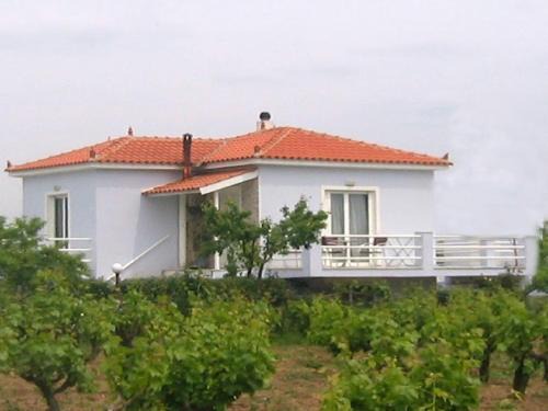 Skala Kallonis House | Mytilini House in Carpe Diem Villas & Houses