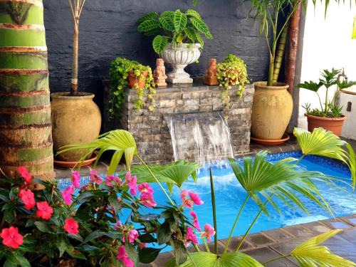 Southbroom Apartment | Namaste Suite in Southbroom