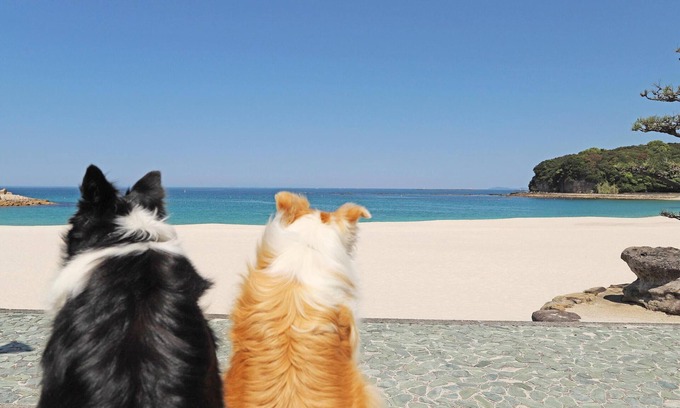 Kamitonda Hotel | Nanki Shirahama Wan Wan Paradise