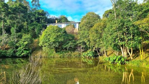 Barao House | Natureza e conforto em um só lugar