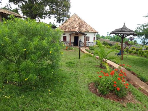 Southern Province House | NENA HOUSE