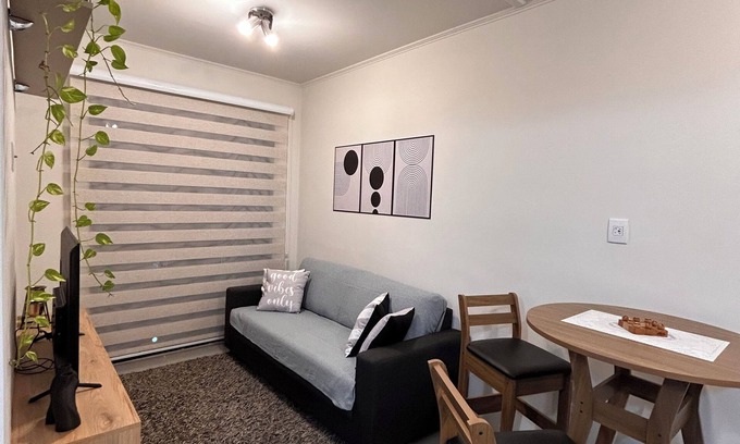 Centro Apartment | New and cozy apartment, Parque Anchieta