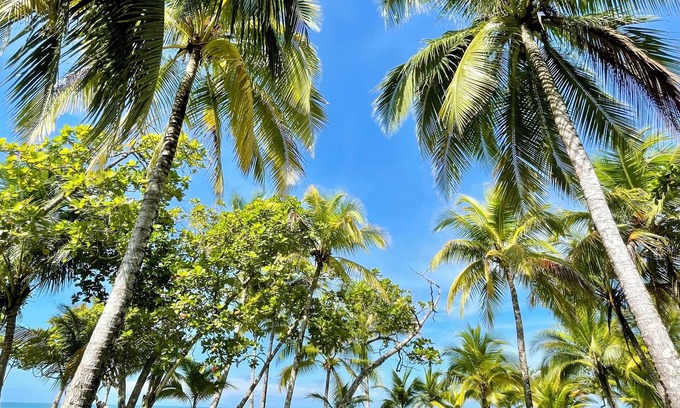 Central Pacific Coast House | NEW DIRECT BEACHFRONT VILLA, 2 BR, 2bath-stunning sunsets- discounts, book now