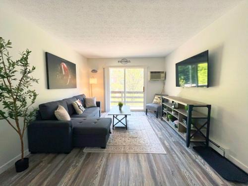 Canton Apartment | New Hof Apt! -balcony - Pet Friendly - Sleeps 4