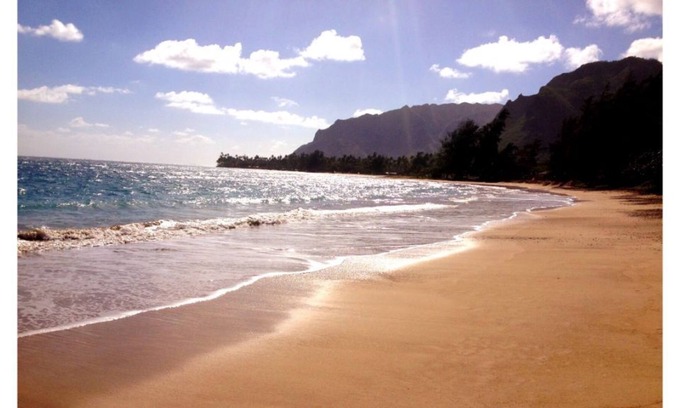 Punaluu Apartment | New Oceanfront! Fully equipped 1bed/1bath apt on the beach in Punaluu