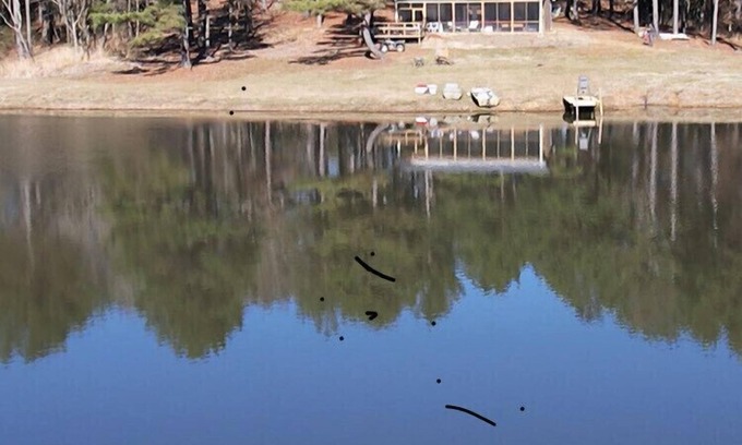 Batesville Cabin | Newly Built Cabin with a 2.5 acre Lake on 120 Acres of Private Land