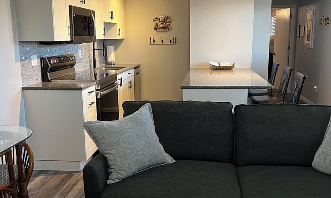 Notch Estates Condo | Newly updated 1 br, 1 bath, walk-in, free wifi, park by door, 1 mile to SDC.